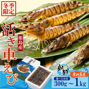 yӂ邳Ɣ[Łz yԌz PY  Ԃ Iׂeʁ 300g(6~15) / 500g (8~25)/ 1kg (15~50) 퉷z ΕMtg l yz{bNXsz  Gr CV ԊCV ԃGr 