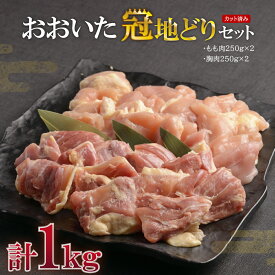 【ふるさと納税】おおいた 冠地どり セット【 合計 1kg 】 地どり 鶏 肉 お肉 蒸し鶏 鍋 天ぷら セット パック 国産 九州産 大分県産 姫島村 G2-S