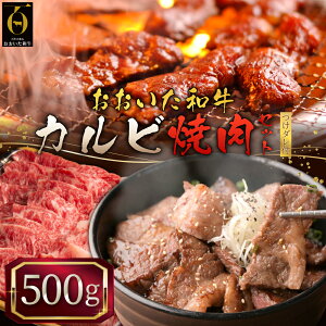 yӂ邳Ɣ[Łz a Jr Ă Zbg y 500 g z_ t  o o  BY 啪Y P G7