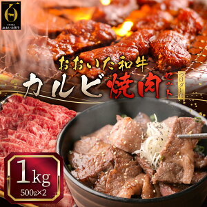 yӂ邳Ɣ[Łz aJr ē Zbg y 500 g ×2 ( v 1kg )z  _ t  Jr  BY 啪Y P G8