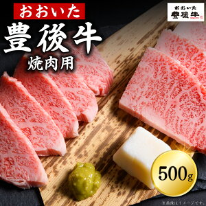 yӂ邳Ɣ[ŁzL㋍ ēp 500g    o [X  ē BBQ Mtg v[g  ϔ Y BY 啪Y D2