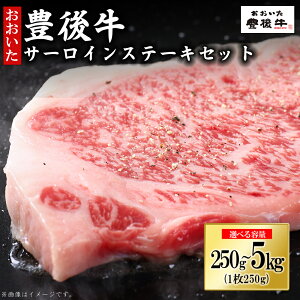 yӂ邳Ɣ[ŁzL㋍ T[CXe[L 250g`5kgIׂeʁ /v250g(250g×1)/v500g(250g×2) /v1kg(250g×4)/y󂠂zv5kg(250g2×10P)    T[C Xe[L ē o