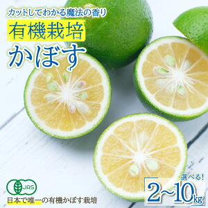 yӂ邳Ɣ[Łz Jbg  킩 @   u L@ ͔| ڂ v 2kg`10kg Iׂ遄2kg 4kg 10kg  Y 啪Y  J{X ڂ k ʕ NG_ JE r^~