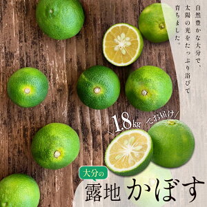 yӂ邳Ɣ[Łz 啪 In ڂ 1. 8kg Y 啪Y  J{X ڂ k ʕ NG_ JE r^~C J2