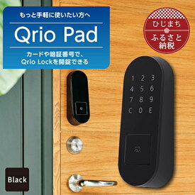 【ふるさと納税】Qrio Pad ブラック 暮らしをスマートにする生活家電【1305390】