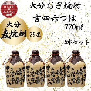 yӂ邳Ɣ[Łz啪ނĒ@KglZ25x(720ml)4{Zbgy1455631z