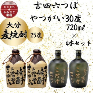 yӂ邳Ɣ[Łz啪ނĒ@KglZ25x2{Ƃ30x2{(720ml)4{Zbgy1455794z