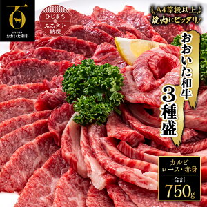 yӂ邳Ɣ[Łza ēɃsb^!3퐷(JrE[XEԐg)(v750g)_   Ă ē Hה јa a Mtg v[g  o[xL[ BBQyzs