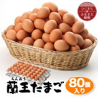  蘭王たまご 80個入り _ 卵 たまご 玉子 タマゴ 鶏卵 まとめ買い オムレツ 卵かけご飯 朝食 料理 人気 美味しい 【1321925】