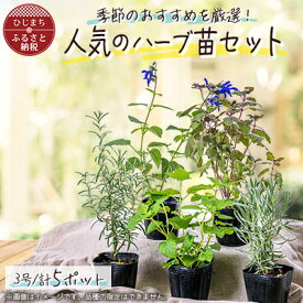 【ふるさと納税】ガーデニング に欠かせない! 人気の ハーブ苗 5ポットセット【3号ポット】【1085902】