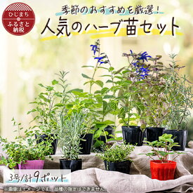 【ふるさと納税】元気なおすすめハーブ苗9ポットセット【3号ポット】【1085903】