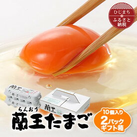 【ふるさと納税】蘭王たまご　10個入り2パック　ギフト箱でお届け【1519751】