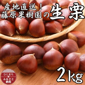 yӂ邳Ɣ[ŁzYn!ʎ̐II2LyzsnFzy1541135z