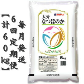 【ふるさと納税】【毎月定期便】大分のお米　大分県産なつほのか5kg×2(日出町)全6回【4050502】