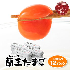 【ふるさと納税】蘭王10個入り12パックセット_ 120個 卵 たまご 玉子 タマゴ 鶏卵 まとめ買い オムレツ 卵かけご飯 朝食 料理 人気 美味しい 【1332613】