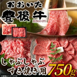yӂ邳Ɣ[Łz󂠂!L㋍ԂԂĂ750gZbg(o)yzsnFzy1571279z