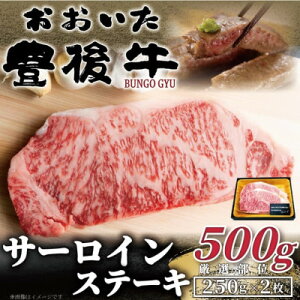 yӂ邳Ɣ[ŁzL㋍T[CXe[LZbg 500g(250g×2)(o)yzsnFzy1571527z