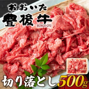 yӂ邳Ɣ[ŁzL㋍؂藎Ƃ 500g(o)yzsnFzy1571543z