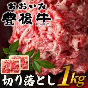 yӂ邳Ɣ[ŁzL㋍؂藎Ƃ 1kg(500g×2P)(o)yzsnFzy1571547z