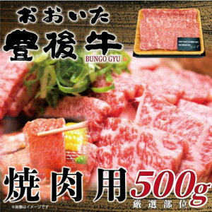 yӂ邳Ɣ[ŁzL㋍ēp 500g(o)yzsnFzy1571606z