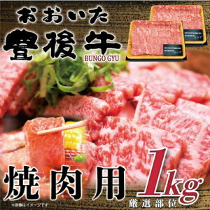 yӂ邳Ɣ[ŁzL㋍ēp 1kg(500g×2P)(o)yzsnFzy1571694z