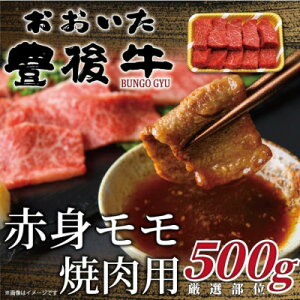 yӂ邳Ɣ[ŁzL㋍Ԑgēp 500g(o)yzsnFzy1571695z