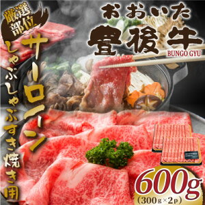 yӂ邳Ɣ[ŁzyIʁzL㋍T[CԂԂĂp 600g(300g×2P)(o)yzsnFzy1571705z