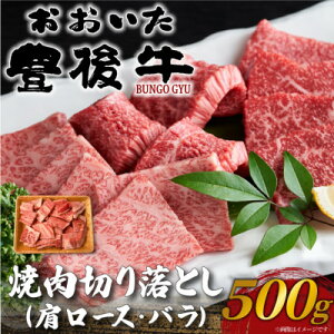 yӂ邳Ɣ[ŁzL㋍ē؂藎Ƃ 500g(o)yzsnFzy1571734z