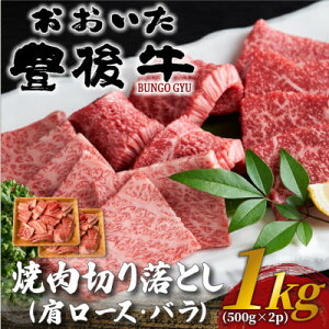 yӂ邳Ɣ[ŁzL㋍ē؂藎Ƃ 1kg(500g×2P)(o)yzsnFzy1571737z