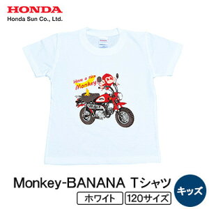 yӂ邳Ɣ[ŁzMonkey-BANANA TVc(LbY)y120TCY@zCgzy1664723z