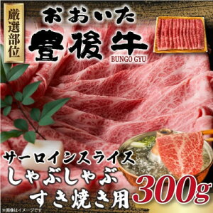 yӂ邳Ɣ[ŁzyցzyIʁzL㋍T[CԂԂĂp 300g(o)S6yzsnFzy4074143z