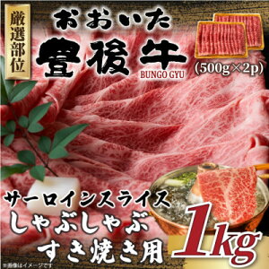 yӂ邳Ɣ[ŁzyցzI L㋍T[CԂĂp1kg 500g×2(o)S6yzsnFzy4074266z
