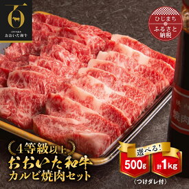【ふるさと納税】おおいた和牛カルビ焼き肉セット【つけダレ付】500g(500g×1)/1kg(500g×2)【配送不可地域：離島】【G1130505】