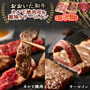 【ふるさと納税】おおいた和牛 カルビ焼肉用&霜降りサーロインステーキ【配送不可地域:離島】【1395460】