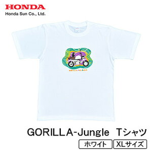 yӂ邳Ɣ[ŁzGORILLA-Jungle TVc (jZbNX)yXLTCY@zCgzy1656630z