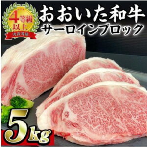 �y�ӂ邳�Ɣ[�Łz���������a���T�[���C���u���b�N 5kg�y�z���s�n��F�����z�y1701002�z