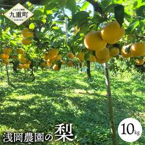yӂ邳Ɣ[Łz󉪔_̗ qeʂIׂr2.7kg 5kg 10kg  L H V Ñ Y 啪Y dY t[c ʕ  ʎ ①  y2025N9{-11{