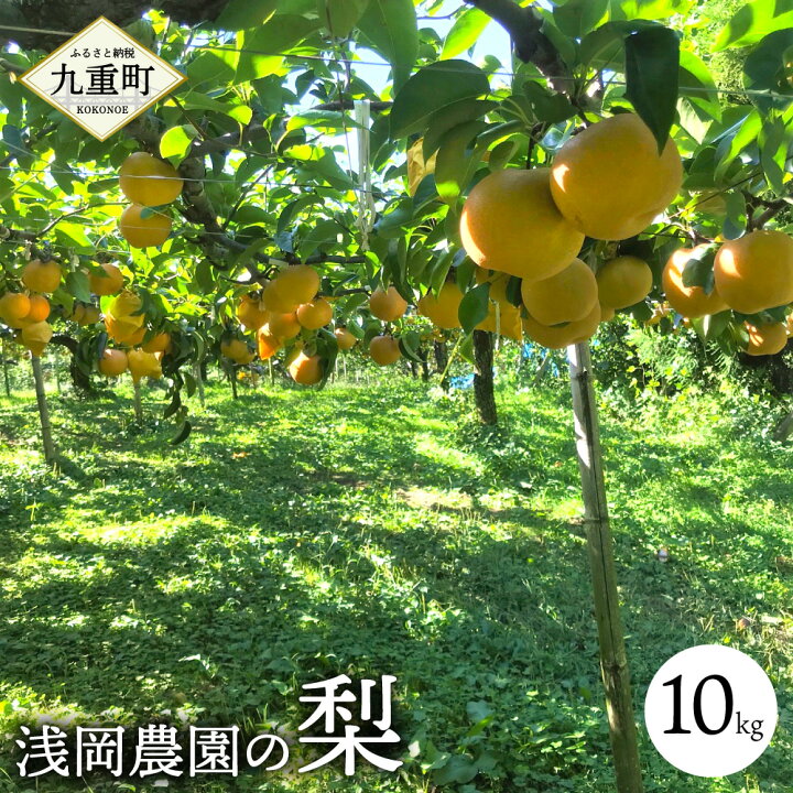 楽天市場 ふるさと納税 浅岡農園の梨 10kg 梨 豊水 秋月 新高 国産 大分県産 九重町産 フルーツ 果物 くだもの 果実 送料無料 大分県九重町