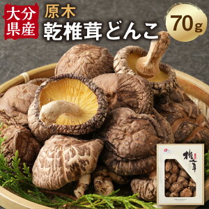 yӂ邳Ɣ[Łz啪Y ő ǂ 70g ő ő   ̂ LmR t Y BY 啪Y  yVX[p[SALE 9J