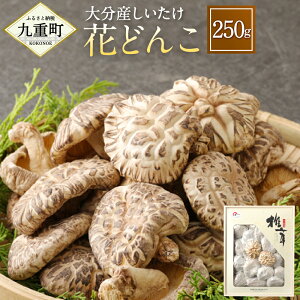 yӂ邳Ɣ[Łz啪Y  Ԃǂ 250g ő ̂ LmR  t Y BY 啪Y 