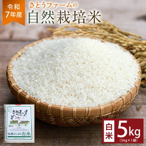 yӂ邳Ɣ[Łzyߘa7NYzƂt@[̎R͔|āi5kgj   R    ͂ R͔| ~L[NC[ Pꌴ  啪 d 