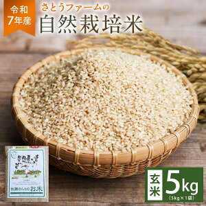 yӂ邳Ɣ[Łzyߘa7NYzƂt@[̎R͔|āi5kgj   R    R͔| ~L[NC[ Pꌴ  啪 d 