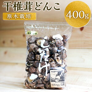 yӂ邳Ɣ[Łző ǂ 400g ő  ̂ LmR  t Y BY dY 