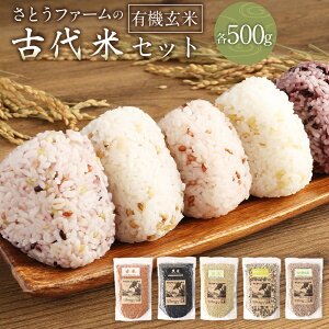 yӂ邳Ɣ[ŁzƂt@[̌ÑăZbg v2.5kg e500g 5ܓ Ñ ԕ  Ε uh ۔     Y BY dY 