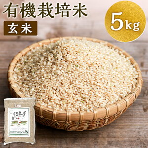 yӂ邳Ɣ[Łzyߘa7NYzƂt@[̗L@͔|  5kg L@͔| ~L[NC[   Y BY dY 