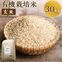 楽天市場】玄米 30kg 大分の通販