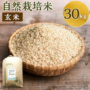 yӂ邳Ɣ[Łzyߘa7NYzƂt@[̎R͔|  30kg×1 ~L[NB[  ͂ ͔|Ԓ_sgp B 啪Y 