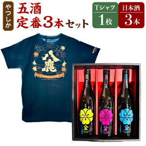 yӂ邳Ɣ[Łz܎  3{ Zbg v2,160ml 720ml×3{  ʏĎ {h aTVc Y BY 啪Y  yVX[p[SALE 9J