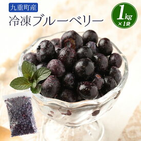 【ふるさと納税】【楽天限定寄附額】冷凍ブルーベリー 約1kg 約1000g 栽培期間中農薬不使用 ブルーベリー 国産 九州 大分県 九重町産 果物 フルーツ 冷凍フルーツ 家庭用 スムージー ジュース 春 旬 冷凍果物 送料無料