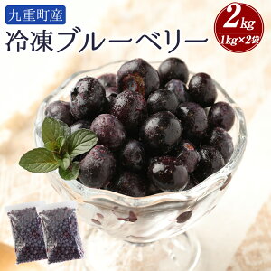 �y�ӂ邳�Ɣ[�Łz�Ⓚ�u���[�x���[ ��2kg 1kg×2�� ��2000g �͔|���Ԓ��_��s�g�p �u���[�x���[ ���Y ��B �啪�� ��d���Y �ʕ� �t���[�c �Ⓚ�t���[�c �ƒ�p �X���[�W�[ �W���[�X �t �{ �Ⓚ